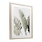 Stupell Industries Muted Banana Leaves Framed Print Under Glass, design by Sisi and Seb